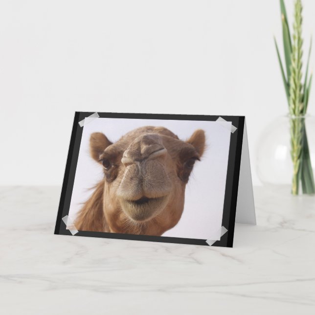 Camel Greeting Card Karte (Vorderseite)