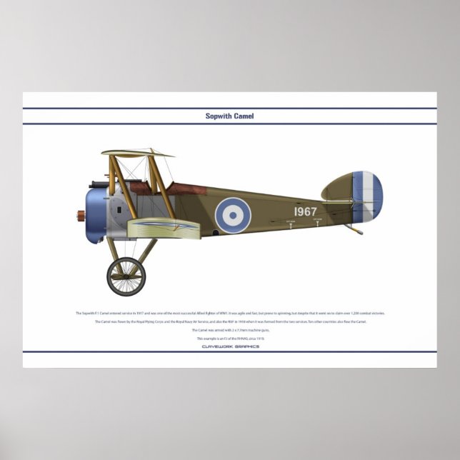 Camel Griechenland Poster (Vorne)