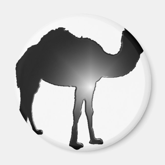 Camel-Illusion Magnet (Vorne)