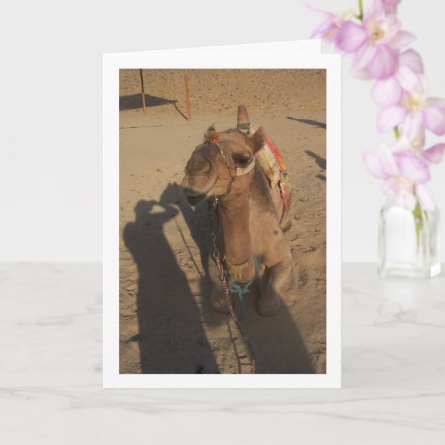 Camel in Fotoshooting Karte (Orchidee)