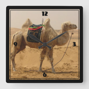 Camel in the desert quadratische wanduhr
