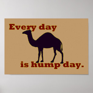 Camel "Jeder Tag ist Hump Day" Poster