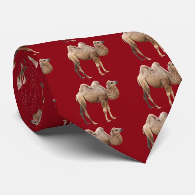Camel Krawatte (Gerollt)