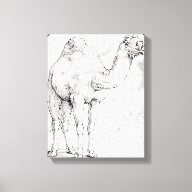 Camel Leinwanddruck (Vorderseite)