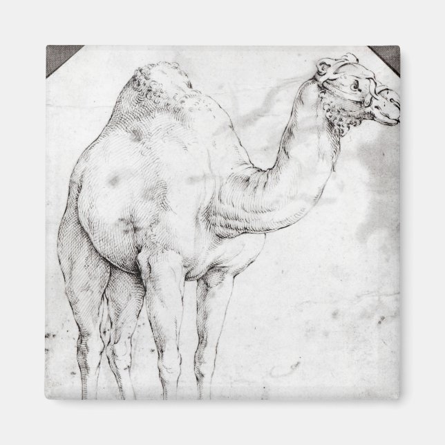 Camel Magnet (Vorne)