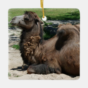 Camel Ornament