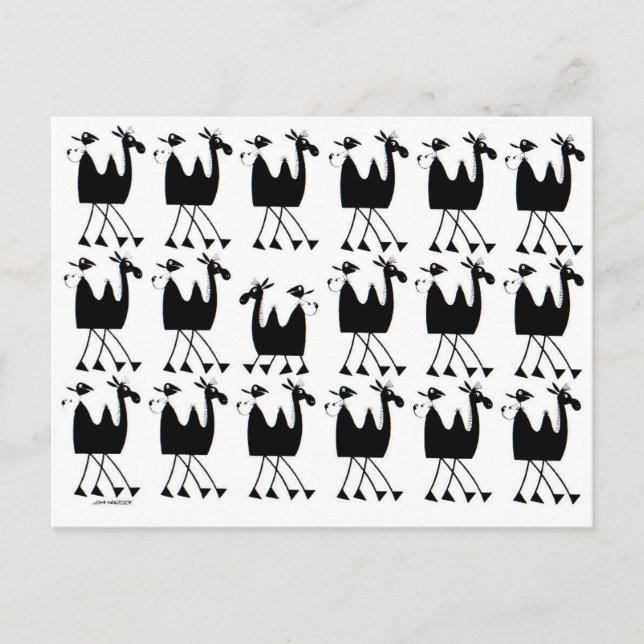 Camel Parade Postkarte (Vorderseite)