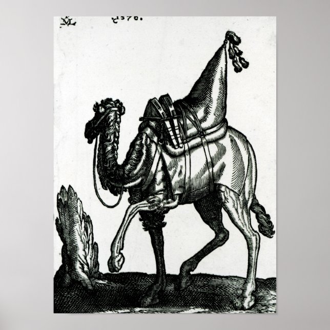 Camel Poster (Vorne)