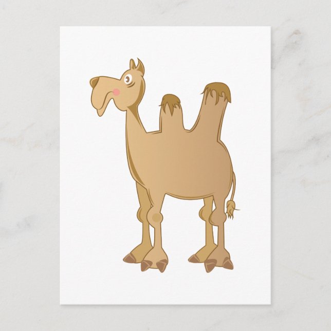Camel Postkarte (Vorderseite)