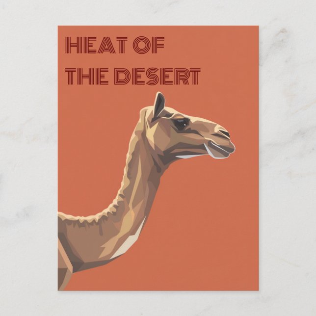 Camel Postkarte (Vorderseite)