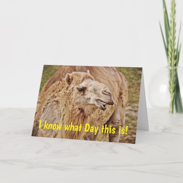 Camel Punny Humppy Birthday Card Karte (Vorderseite)