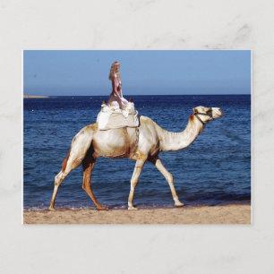 Camel Riding am Strand Postkarte