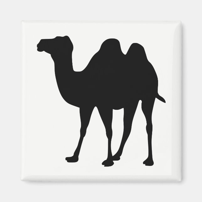 Camel Silhouette Magnet (Vorne)