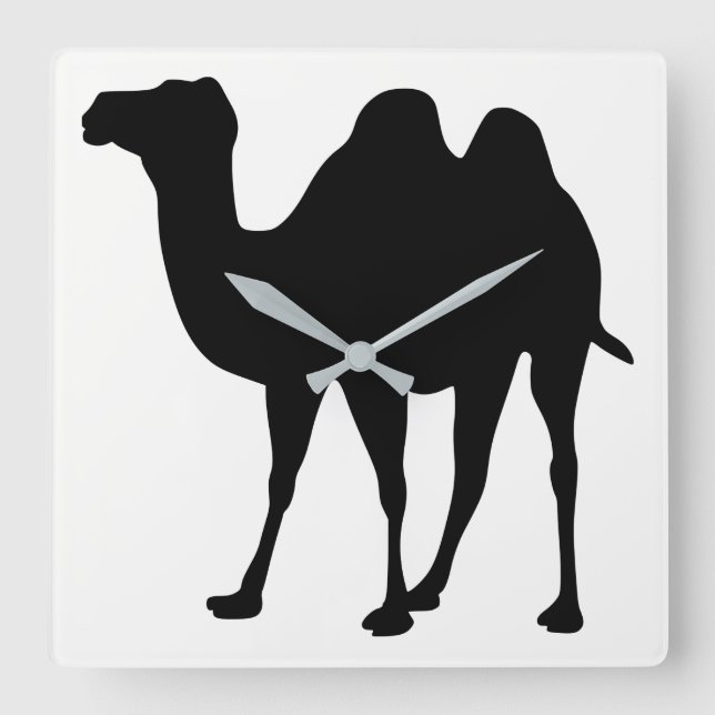 Camel Silhouette Quadratische Wanduhr (Vorderseite)