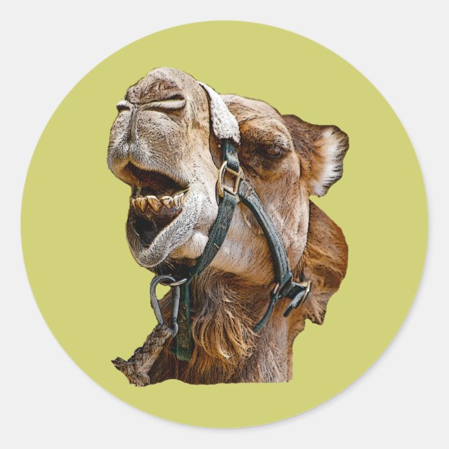 Camel Stickers (Vorderseite)