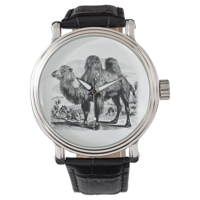 Camel Vintagen 1800er Jahre - Vorlage für ägyptisc Armbanduhr (Vorderseite)