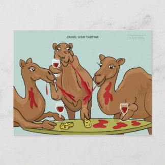 Camel Weinprobe Postkarte