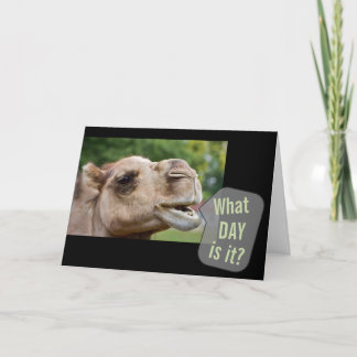 Camel zu reden, was für ein Tag ist es? Foto Grußk Karte