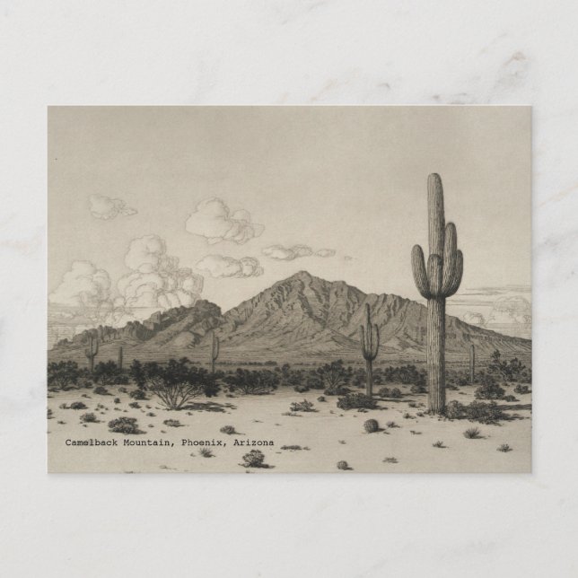 Camelback Mountain Saguaro Cactus Black & White Postkarte (Vorderseite)
