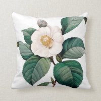 Camelia doppelte Vintage Blume Redoute