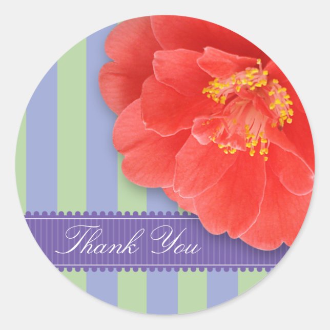 Camelia & Streifen mit Band: rosa Runder Aufkleber (Vorderseite)