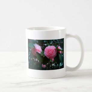 Camelias Tasse