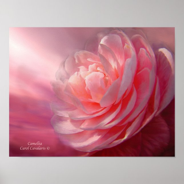 Camellia Art Poster/Print Poster (Vorne)