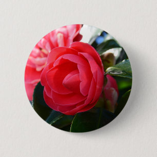 Camellia Blossom Button