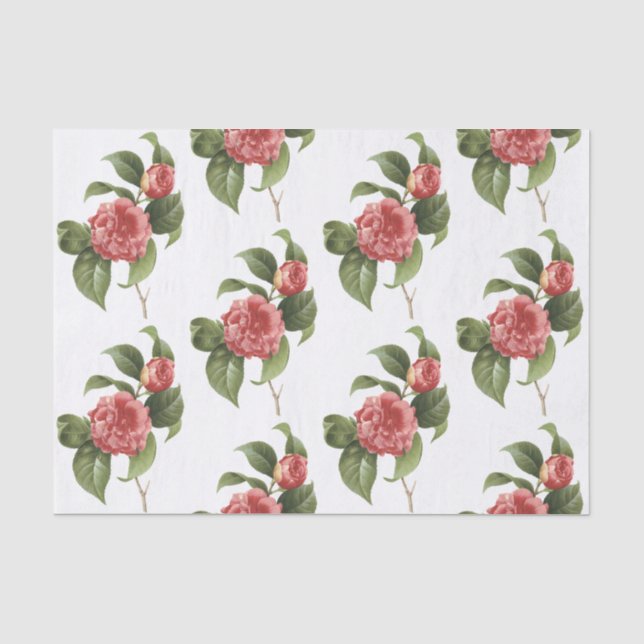 Camellia Blume Pattern Seidenpapier (Vorderseite)