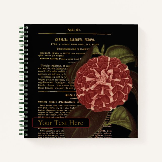 Camellia Carlotta Peloso Black Notizbuch (Vorderseite)