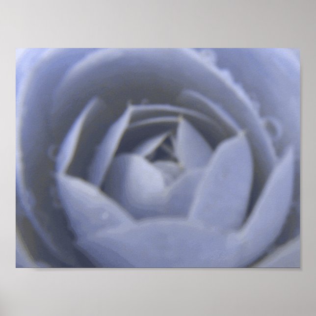 Camellia Frozen Beauty Print Poster (Vorne)