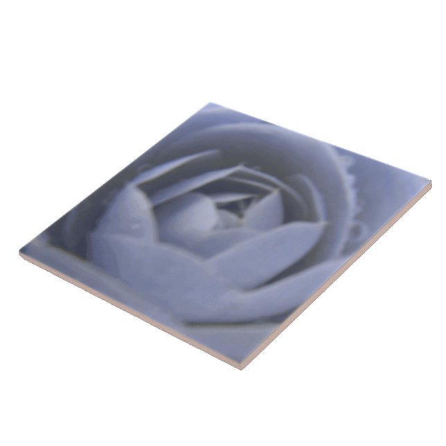 Camellia Frozen Beauty Tile Fliese (Seite)