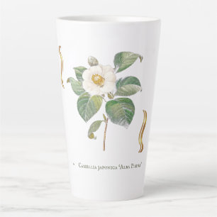 Camellia japonica 'Alba Plena'  Milchtasse