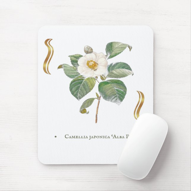 Camellia japonica 'Alba Plena'  Mousepad (Mit Mouse)