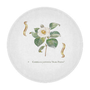Camellia japonica 'Alba Plena'  Schneidebrett