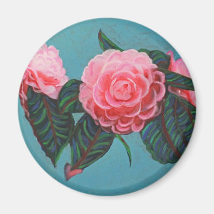 Camellia Japonica Sky Magnet