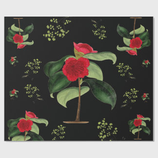 Camellia Japonica um Mitternacht Geschenkpapier