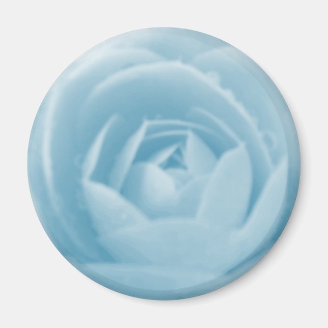 Camellia Magnet (Vorne)