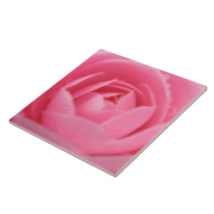 Camellia Pink Tile Fliese