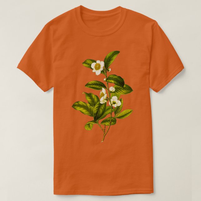 Camellia Sinensis Botanischer Tee Pflanze (Design vorne)