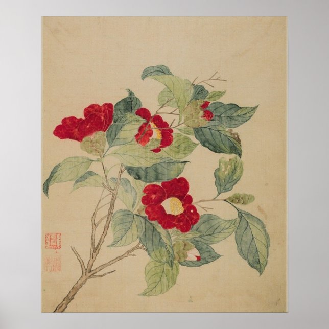 Camellias von Ma Yuanyu Poster Print (Vorne)