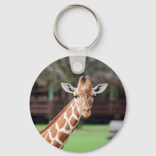 Camelopard (Giraffe) Schlüsselanhänger