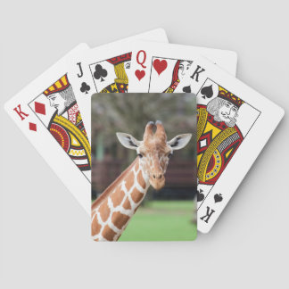 Camelopard (Giraffe) Spielkarten
