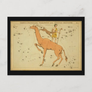 Camelopardalis, Tarandus und Custos Messium Postkarte