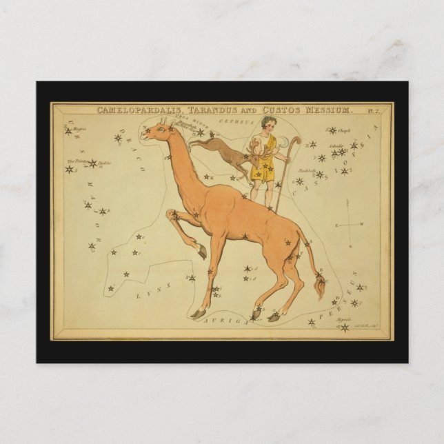 Camelopardalis, Tarandus und Custos Messium Postkarte (Vorderseite)