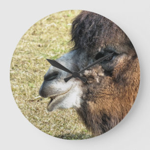 CAMELS GROßE WANDUHR