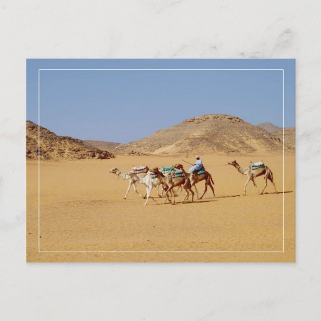 Camels in der Nähe des Wadi El-Seboua-Tempels, Ägy Postkarte (Vorderseite)