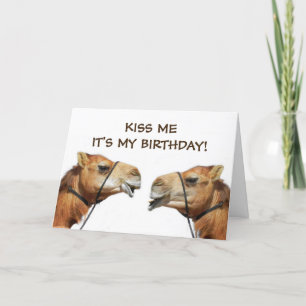 Camels Kissing Funny Greeting Card Karte