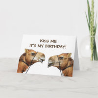 Camels Kissing Funny Greeting Card