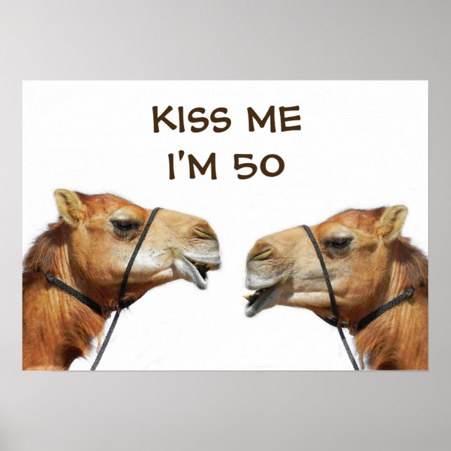 Camels Kissing Funny Poster (Vorne)